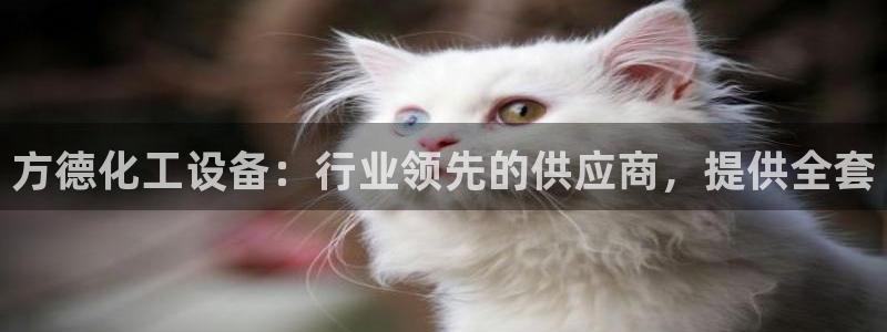 新航娱乐的创始人简介图片