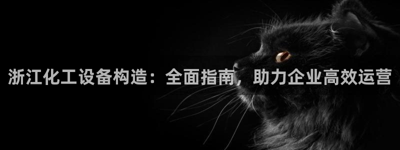 新航娱乐的创始人简介资料