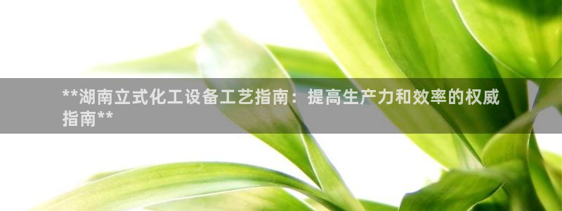 新航娱乐的创始人背景介绍