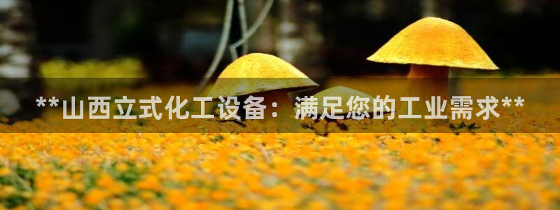 新航娱乐元哥