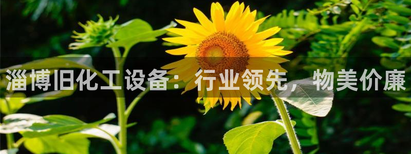 新航娱乐app最新版本更新内容介绍大全