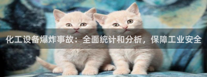 新航娱乐账号注册和账号详情