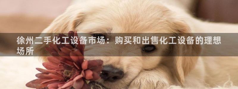 新航娱乐公司扣费流程详解视频大全
