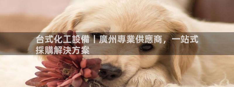 新航娱乐的员工工资福利及待遇如何