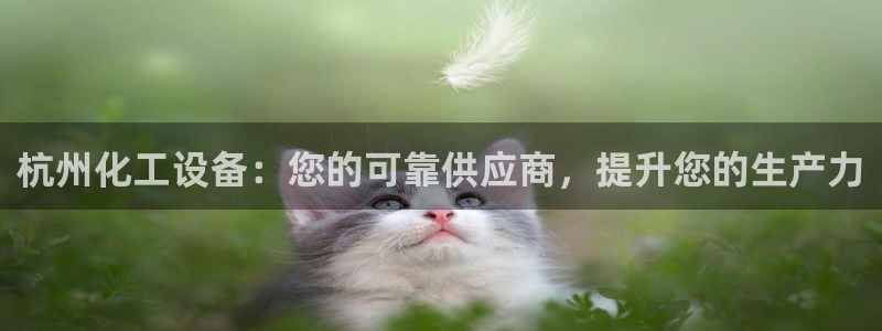 新航娱乐的背景和历史背景