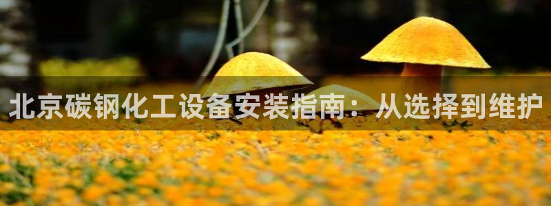 新航娱乐app官方免费下载安卓