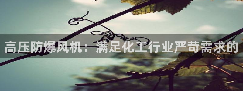 新航娱乐公司扣费流程详解视频