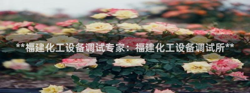 新航娱乐公司扣费流程详解