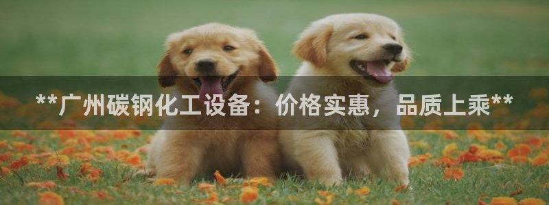 新航娱乐的背景和历史背景是什么
