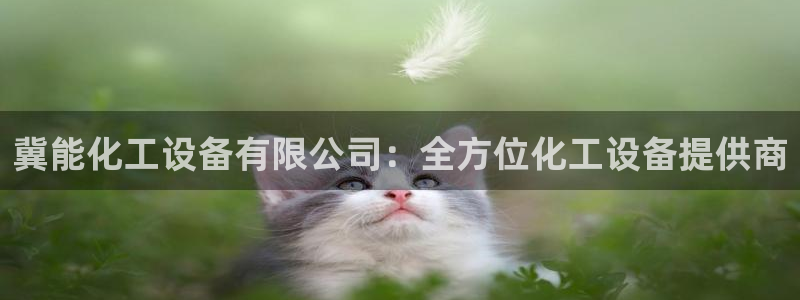 新航娱乐app最新版本更新内容在哪里