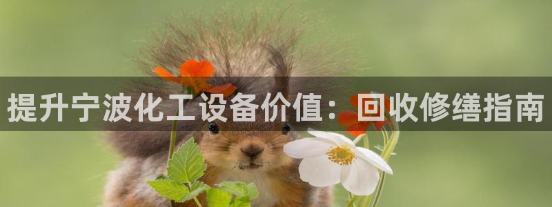 新航娱乐app最新版本更新内容是什么