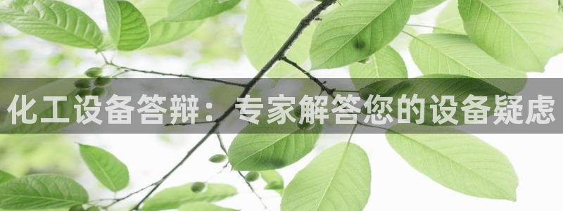 新航娱乐的创始人背景是谁