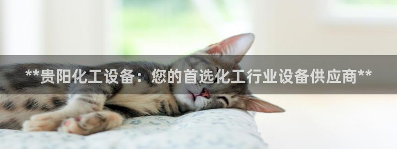 新航娱乐的创始人背景是什么