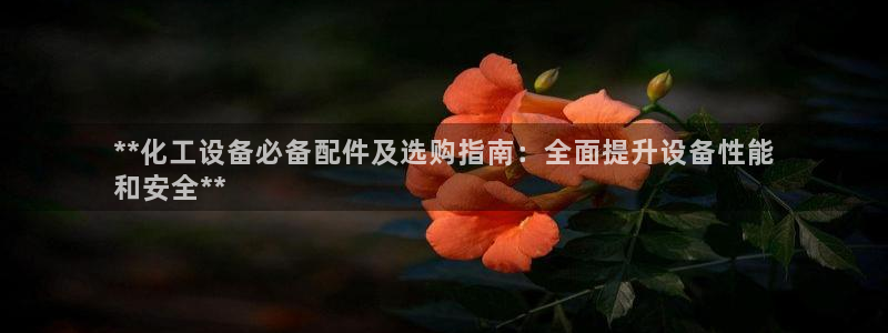 新航娱乐的最新版本更新内容
