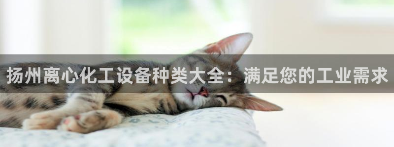 新航娱乐皮皮虾