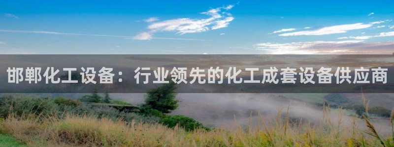 新航娱乐公司简介和历史背景