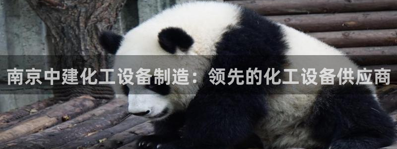 新航娱乐公司扣费流程详解图表