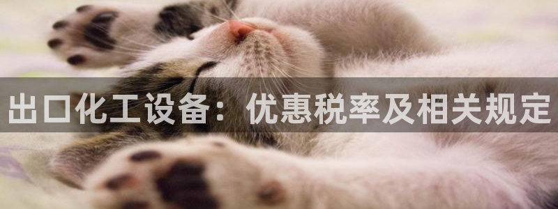 新航娱乐公司旗下艺人都有谁