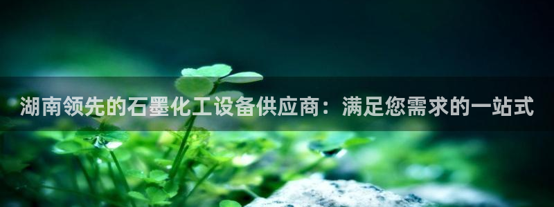 新航娱乐元哥