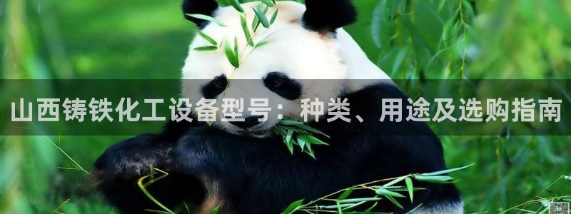 新航娱乐的创始人背景是谁