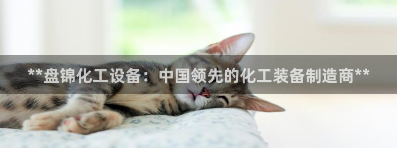 新航娱乐app手机版特色功能介绍：**盘锦化工设备