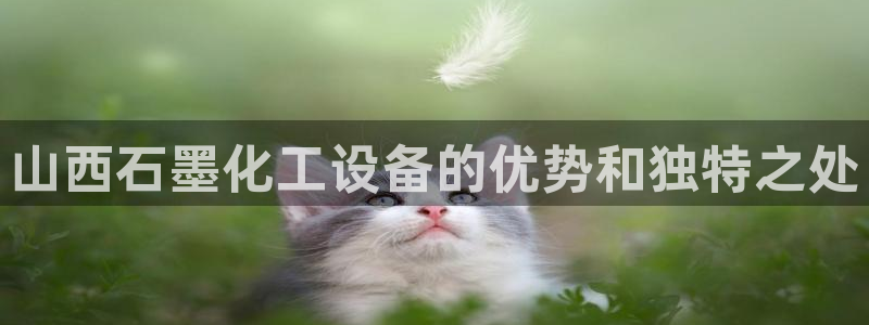 新航娱乐公司扣费流程详解图片