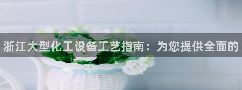 新航娱乐扣费是什么费用：浙江大型化工设备工艺指南：
