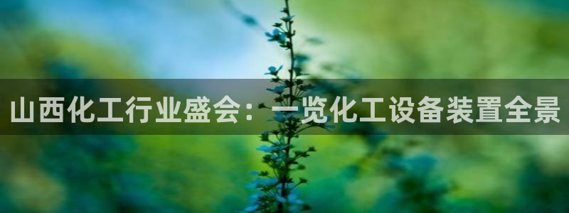 新航娱乐公司简介和历史背景怎么写