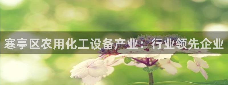 新航娱乐的创始人背景是什么：寒亭区农用化工设备产业