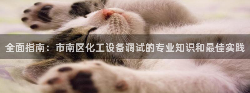 新航娱乐公司扣费流程详解视频大全