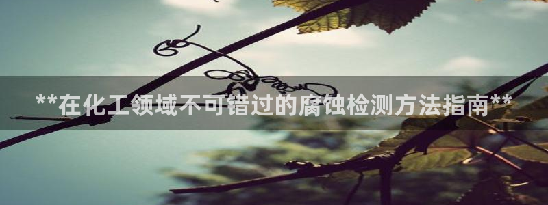 新航娱乐扣款7IIII会怎样：**在化工领域不可错