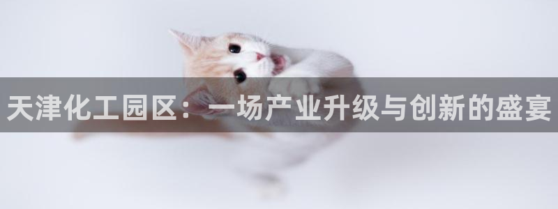 新航娱乐官网最新版本更新内容